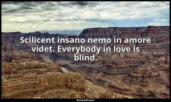Scilicent insano nemo in amore videt. Everybody in love is blind. — Sextus Propertius