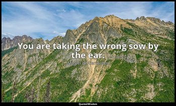 You are taking the wrong sow by the ear. — Miguel de Cervantes