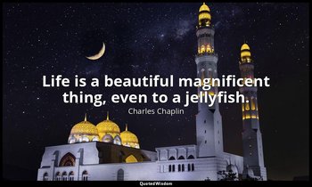 Life is a beautiful magnificent thing, even to a jellyfish. — Charles Chaplin