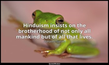 Hinduism insists on the brotherhood of not only all mankind but of all that live — Mahatma Gandhi