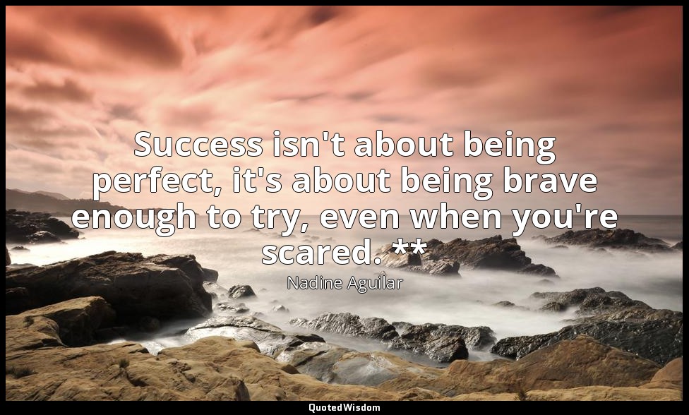 Success isn't about being perfect, it's about being brave enough to try, even wh — Nadine Aguilar