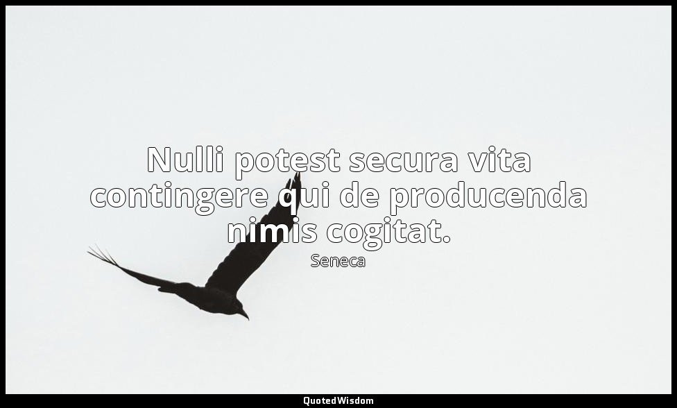 Nulli potest secura vita contingere qui de producenda nimis cogitat. — Seneca
