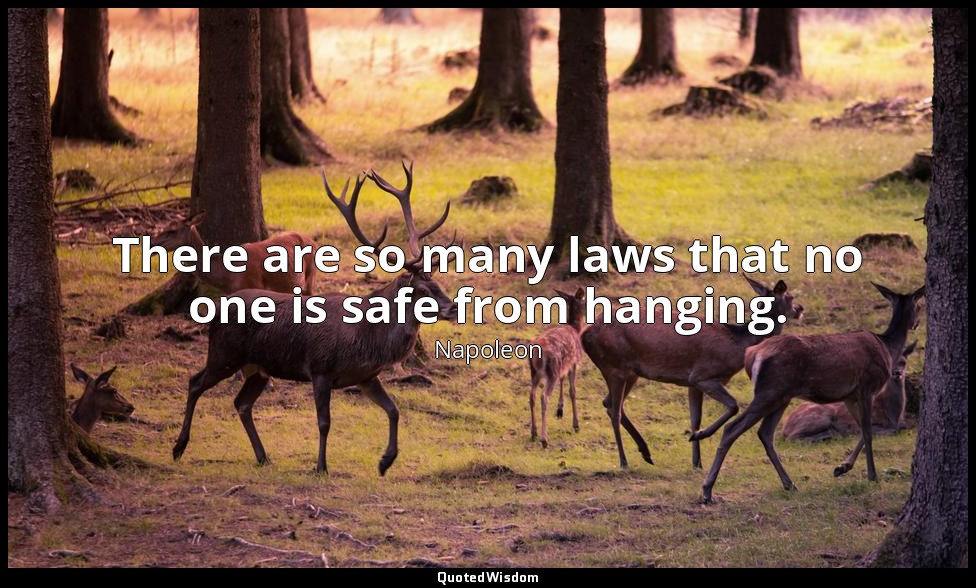 There are so many laws that no one is safe from hanging. — Napoleon
