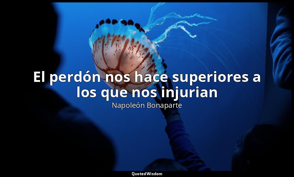 El perdón nos hace superiores a los que nos injurian — Napoleón Bonaparte