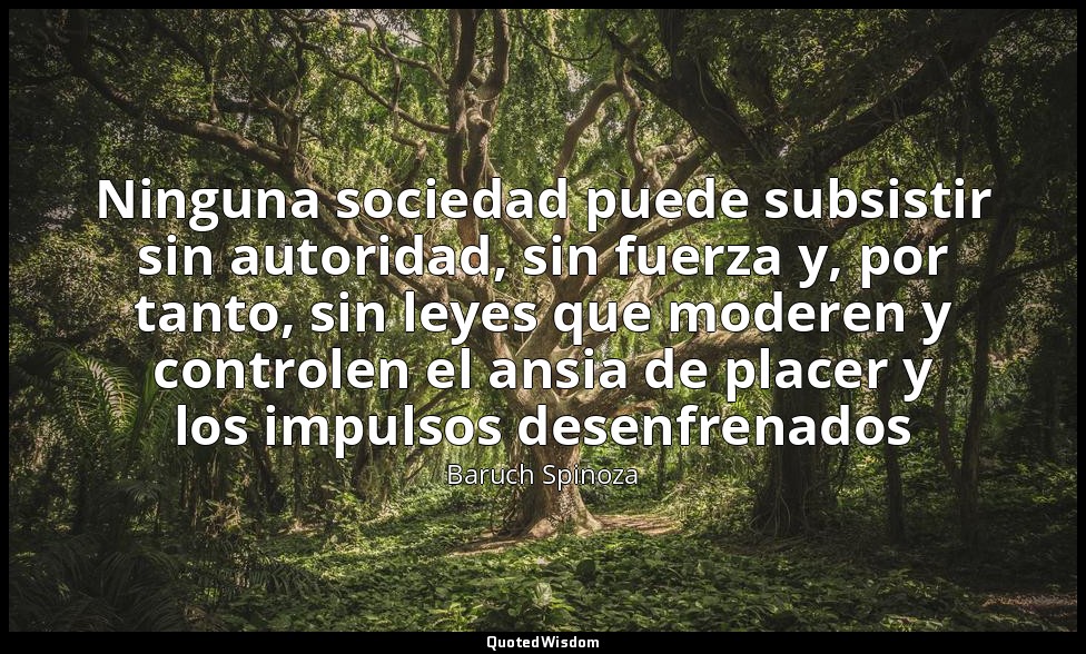 Ninguna sociedad puede subsistir sin autoridad, sin fuerza y, por tanto, sin ley — Baruch Spinoza