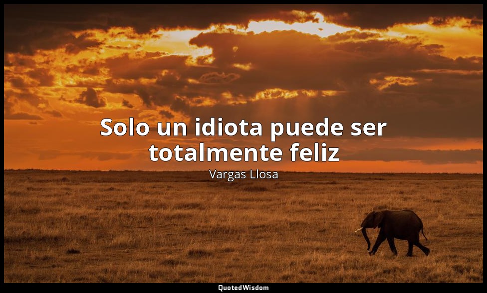 Solo un idiota puede ser totalmente feliz — Vargas Llosa