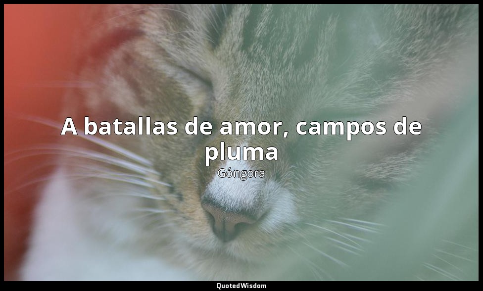 A batallas de amor, campos de pluma — Góngora