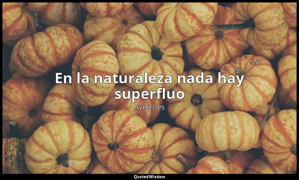 En la naturaleza nada hay superfluo — Averroes