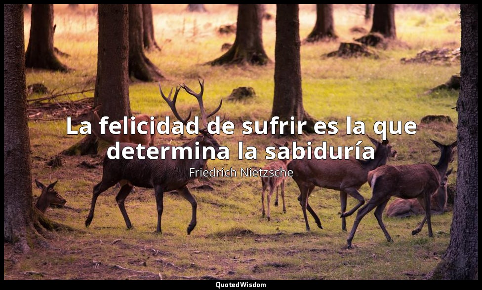 La felicidad de sufrir es la que determina la sabiduría — Friedrich Nietzsche