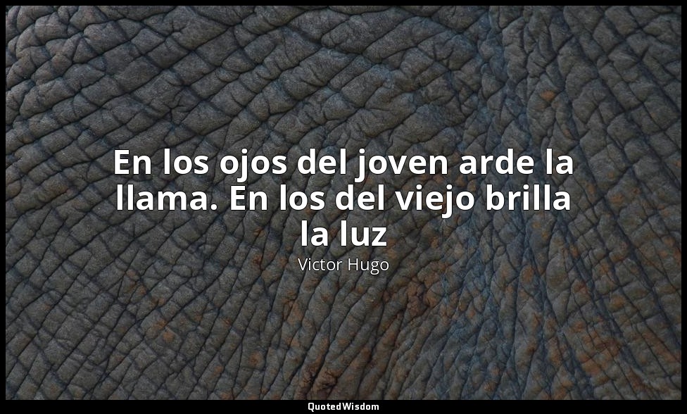 En los ojos del joven arde la llama. En los del viejo brilla la luz — Victor Hugo