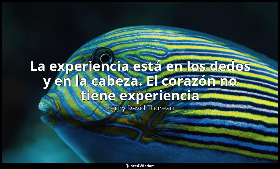 La experiencia está en los dedos y en la cabeza. El corazón no tiene experiencia — Henry David Thoreau