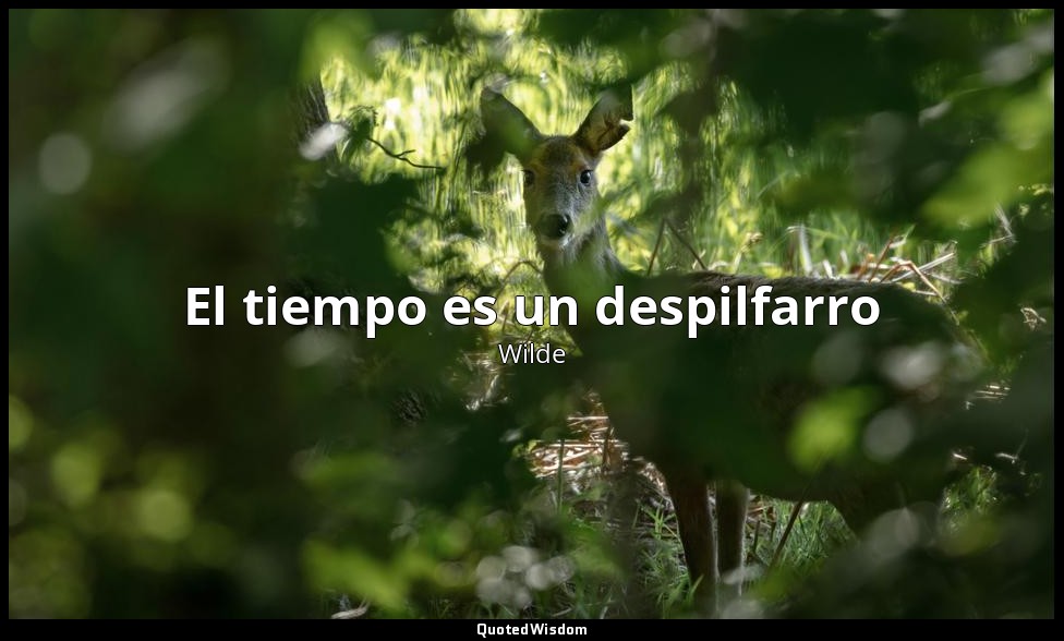 El tiempo es un despilfarro — Wilde