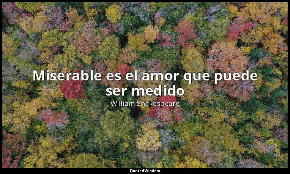 Miserable es el amor que puede ser medido — William Shakespeare
