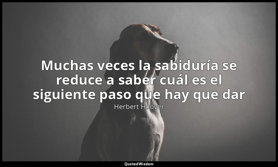 Muchas veces la sabiduría se reduce a saber cuál es el siguiente paso que hay qu — Herbert Hoover