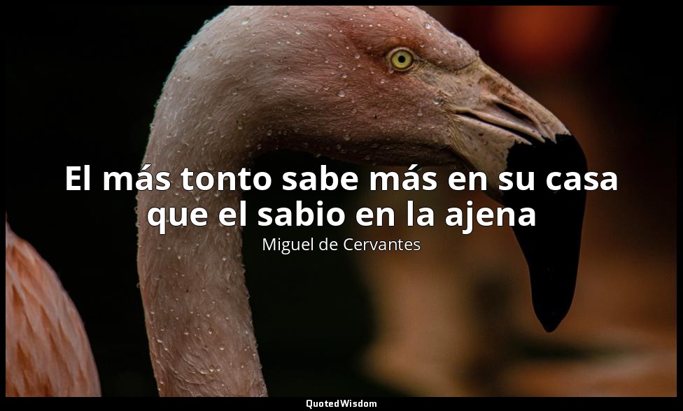 El más tonto sabe más en su casa que el sabio en la ajena — Miguel de Cervantes