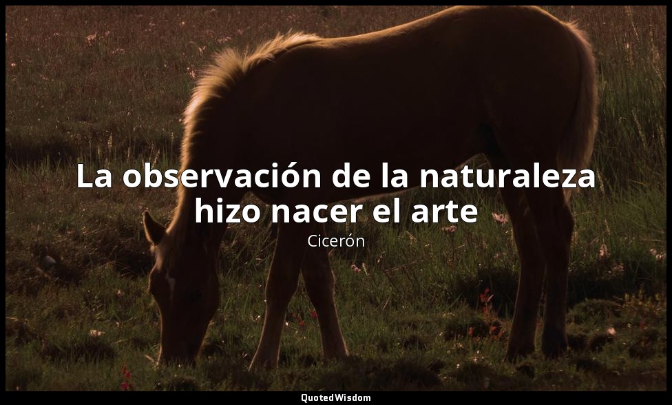 La observación de la naturaleza hizo nacer el arte — Cicerón