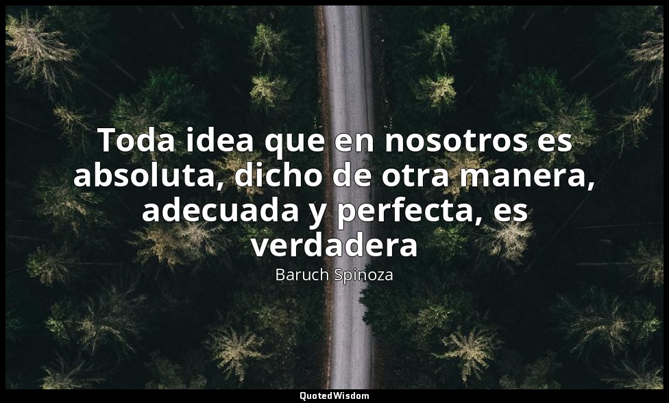Toda idea que en nosotros es absoluta, dicho de otra manera, adecuada y perfecta — Baruch Spinoza