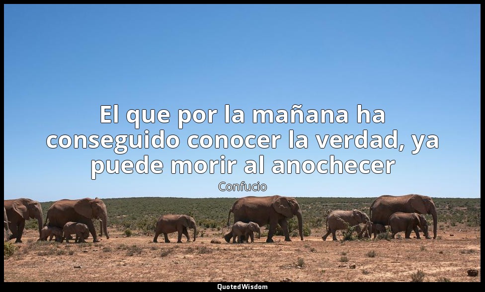 El que por la mañana ha conseguido conocer la verdad, ya puede morir al anochece — Confucio
