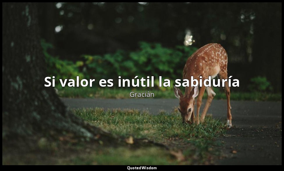 Si valor es inútil la sabiduría — Gracián