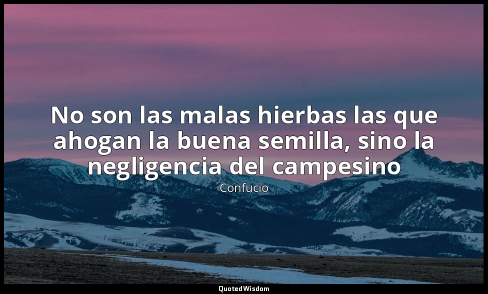 No son las malas hierbas las que ahogan la buena semilla, sino la negligencia de — Confucio