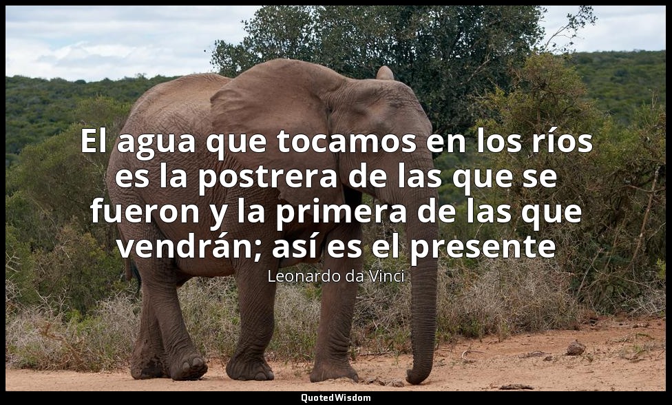 El agua que tocamos en los ríos es la postrera de las que se fueron y la primera — Leonardo da Vinci