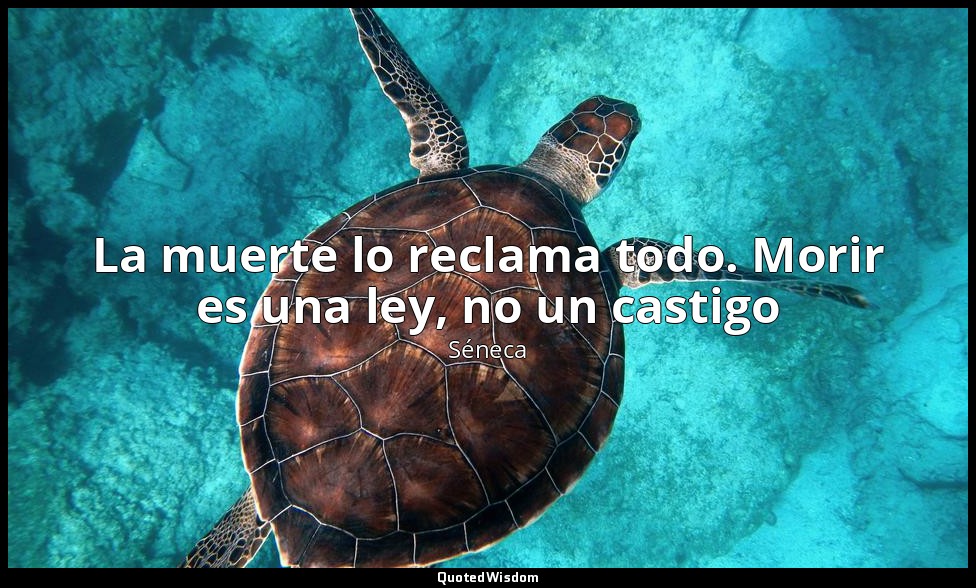 La muerte lo reclama todo. Morir es una ley, no un castigo — Séneca