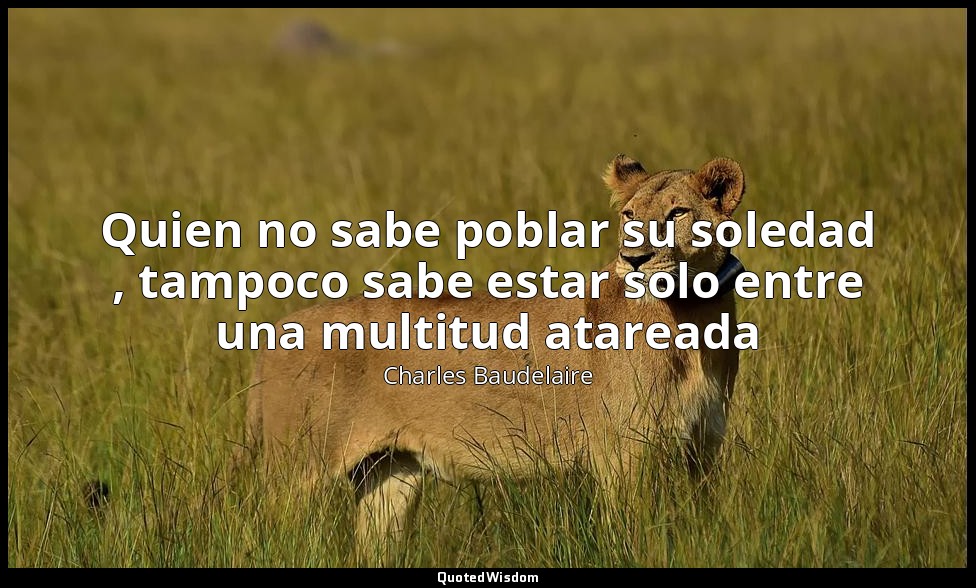 Quien no sabe poblar su soledad , tampoco sabe estar solo entre una multitud ata — Charles Baudelaire