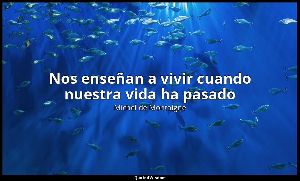 Nos enseñan a vivir cuando nuestra vida ha pasado — Michel de Montaigne