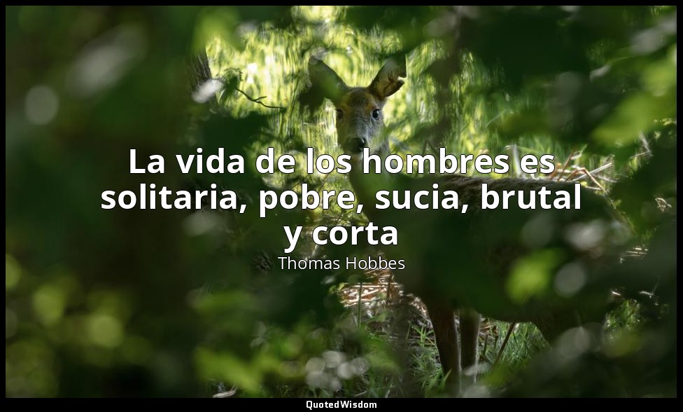 La vida de los hombres es solitaria, pobre, sucia, brutal y corta — Thomas Hobbes