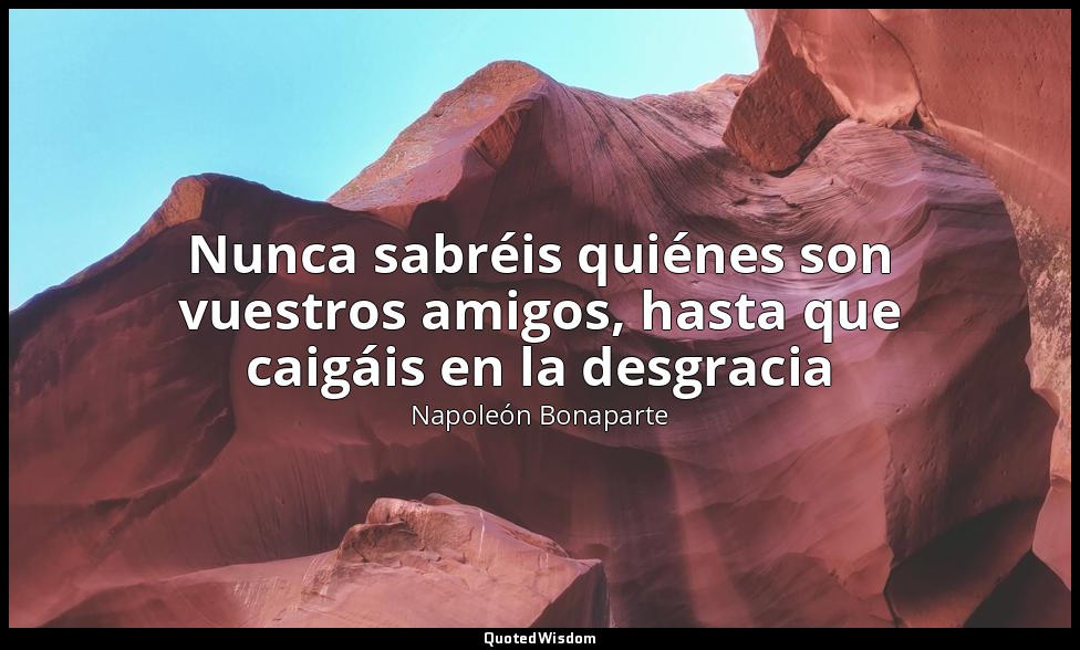 Nunca sabréis quiénes son vuestros amigos, hasta que caigáis en la desgracia — Napoleón Bonaparte