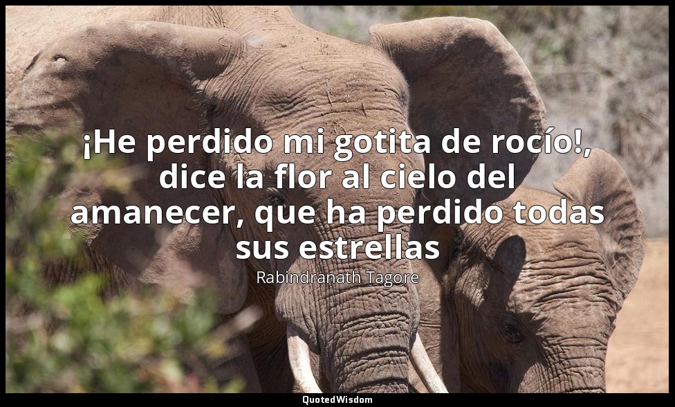 ¡He perdido mi gotita de rocío!, dice la flor al cielo del amanecer, que ha perd — Rabindranath Tagore
