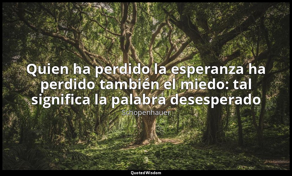 Quien ha perdido la esperanza ha perdido también el miedo: tal significa la pala — Schopenhauer