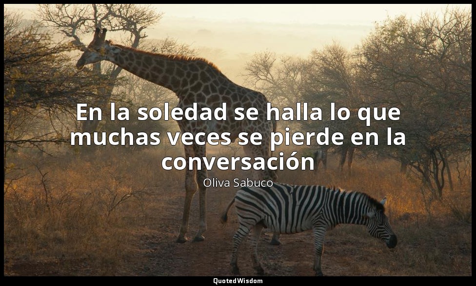 En la soledad se halla lo que muchas veces se pierde en la conversación — Oliva Sabuco