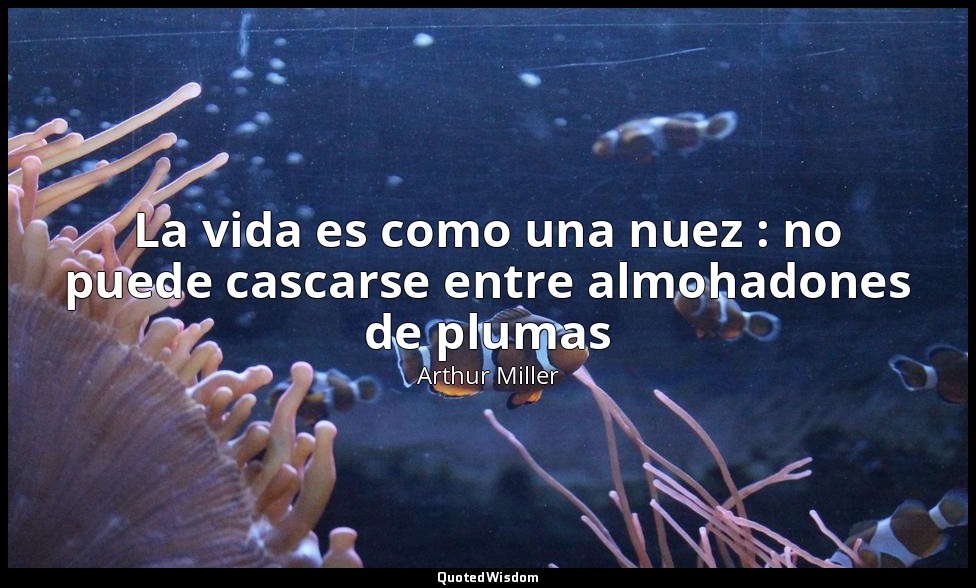 La vida es como una nuez : no puede cascarse entre almohadones de plumas — Arthur Miller