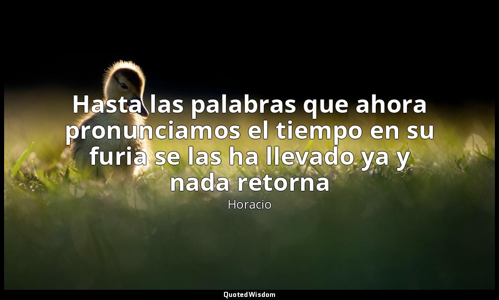 Hasta las palabras que ahora pronunciamos el tiempo en su furia se las ha llevad — Horacio