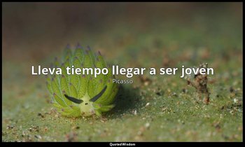 «Lleva tiempo llegar a ser joven ». — Picasso