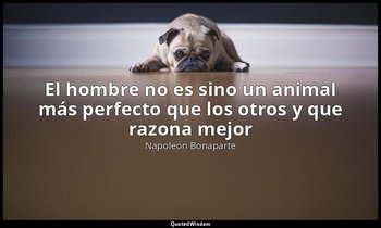 «El hombre no es sino un animal más perfecto que los otros y que razona mejor». — Napoleón Bonaparte