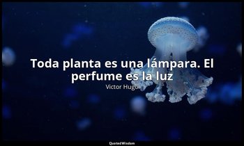 «Toda planta es una lámpara. El perfume es la luz». — Victor Hugo