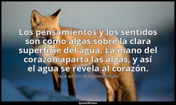 «Los pensamientos y los sentidos son como algas sobre la clara superficie del ag — Yalal ad-Din Muhammad Rumi