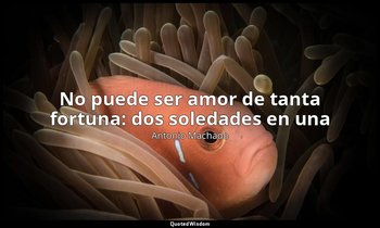 «No puede ser amor de tanta fortuna: dos soledades en una». — Antonio Machado