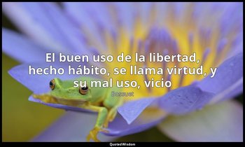 «El buen uso de la libertad, hecho hábito, se llama virtud, y su mal uso, vicio» — Bossuet