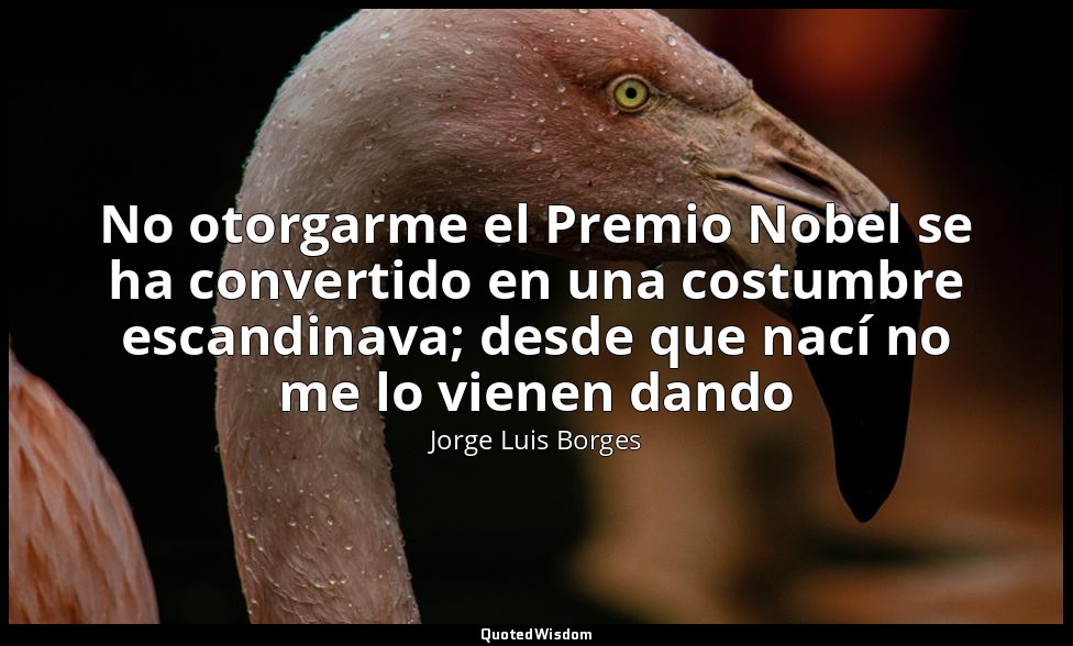 No otorgarme el Premio Nobel se ha convertido en una costumbre escandinava; desd — Jorge Luis Borges