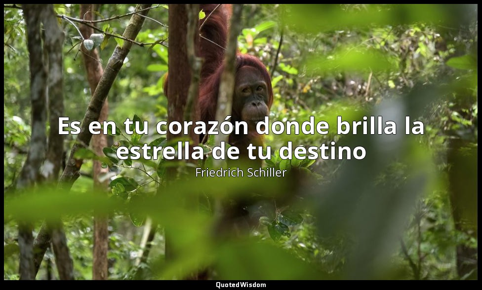 Es en tu corazón donde brilla la estrella de tu destino — Friedrich Schiller