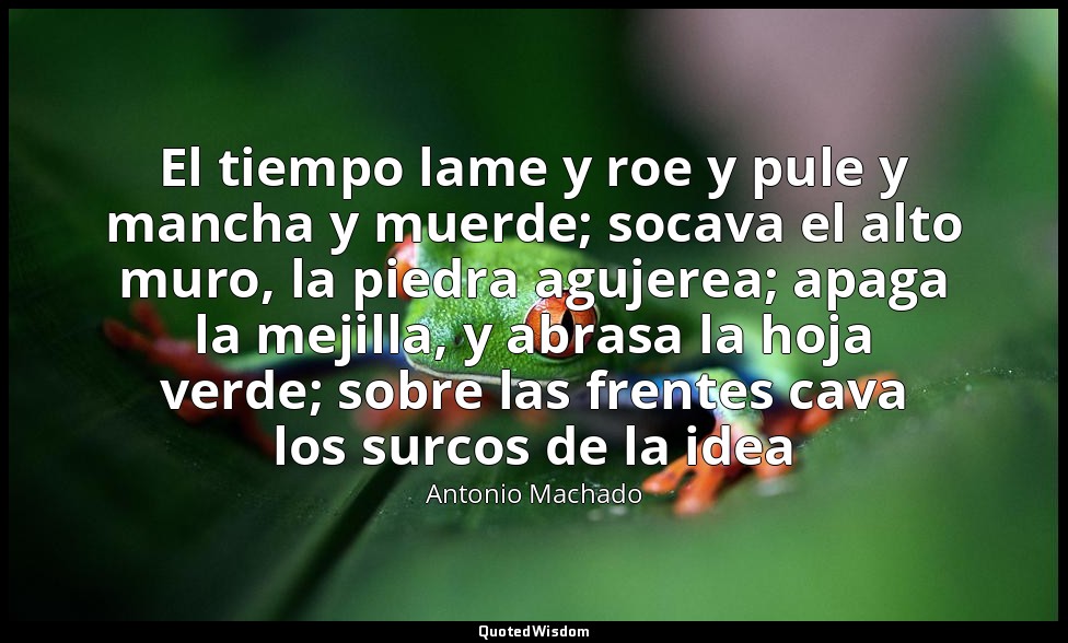 El tiempo lame y roe y pule y mancha y muerde; socava el alto muro, la piedra ag — Antonio Machado