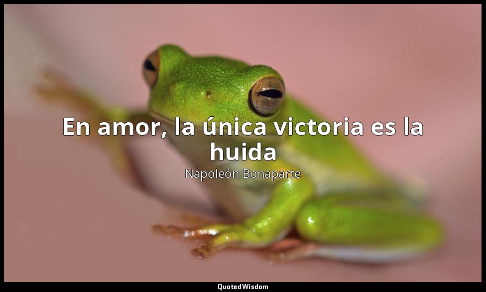 En amor, la única victoria es la huida — Napoleón Bonaparte