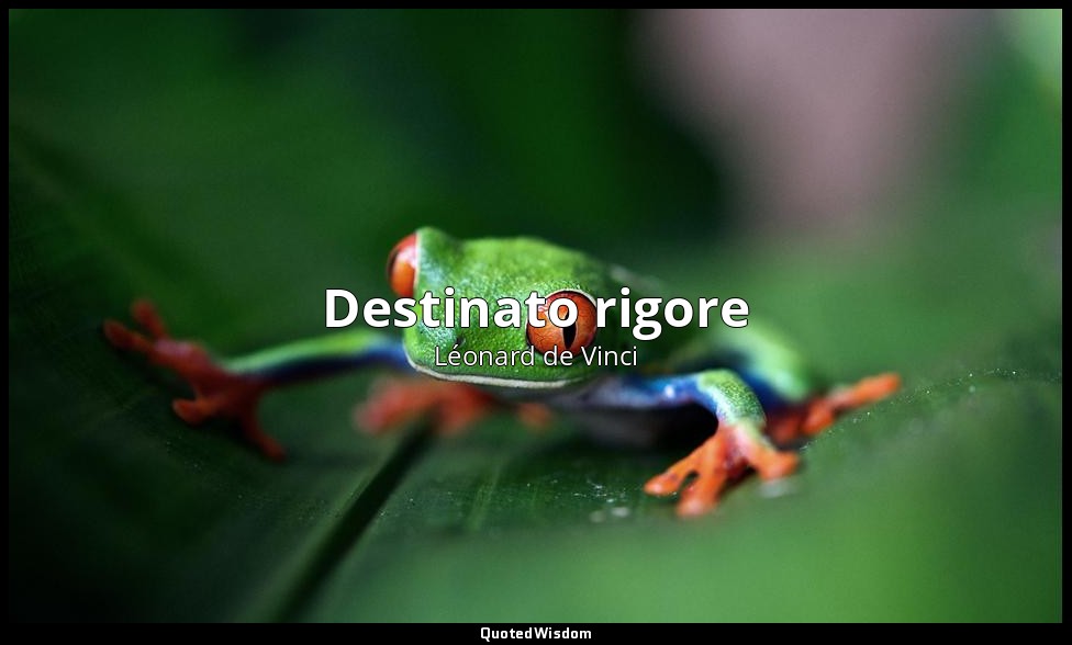 Destinato rigore — Léonard de Vinci