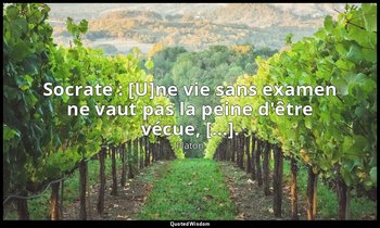 Socrate : [U]ne vie sans examen ne vaut pas la peine d'être vécue, […]. — Platon