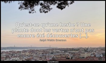 Qu’est-ce qu’une herbe ? Une plante dont les vertus n’ont pas encore été découve — Ralph Waldo Emerson