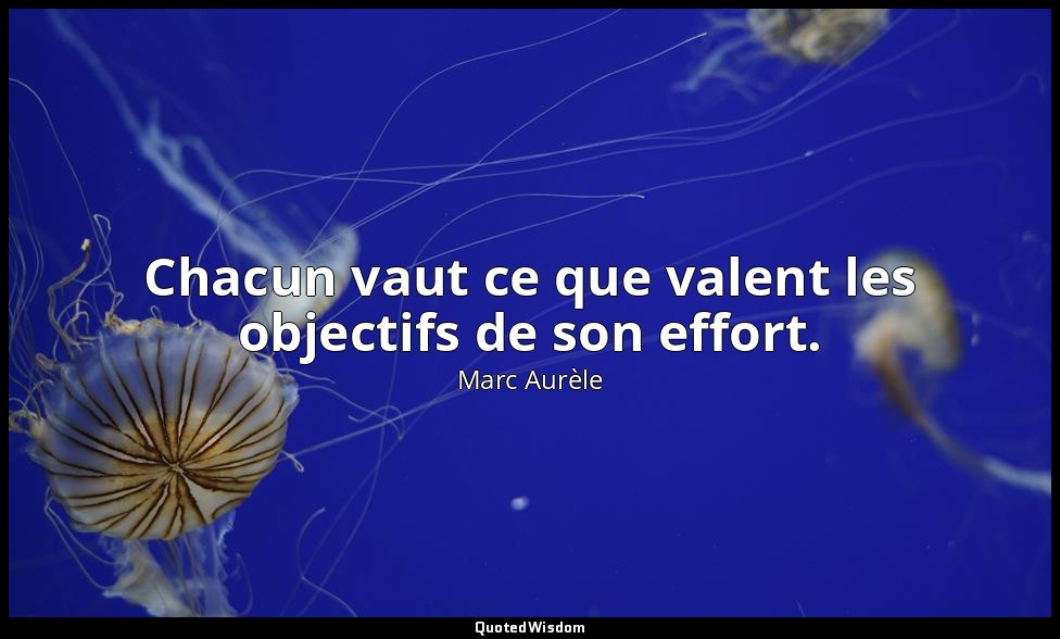 Chacun vaut ce que valent les objectifs de son effort. — Marc Aurèle