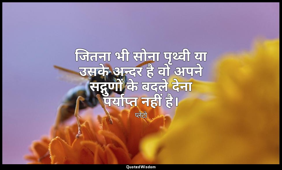 जितना भी सोना पृथ्वी या उसके अन्दर है वो अपने सद्गुणों के बदले देना पर्याप्त नही — प्लेटो